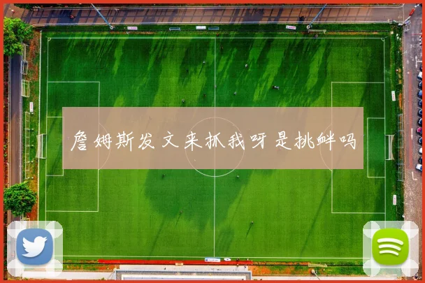 詹姆斯发文来抓我呀是挑衅吗